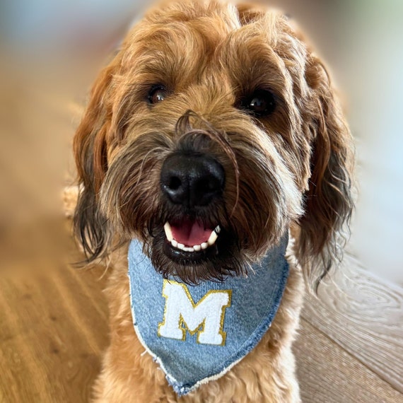 Handmade Custom Denim Dog Bandana Personalized Dog Birthday Gift for Pet Dog Mom Dog Dad Recycled Blue Jean Pet Monogram Neckerchief Etsy