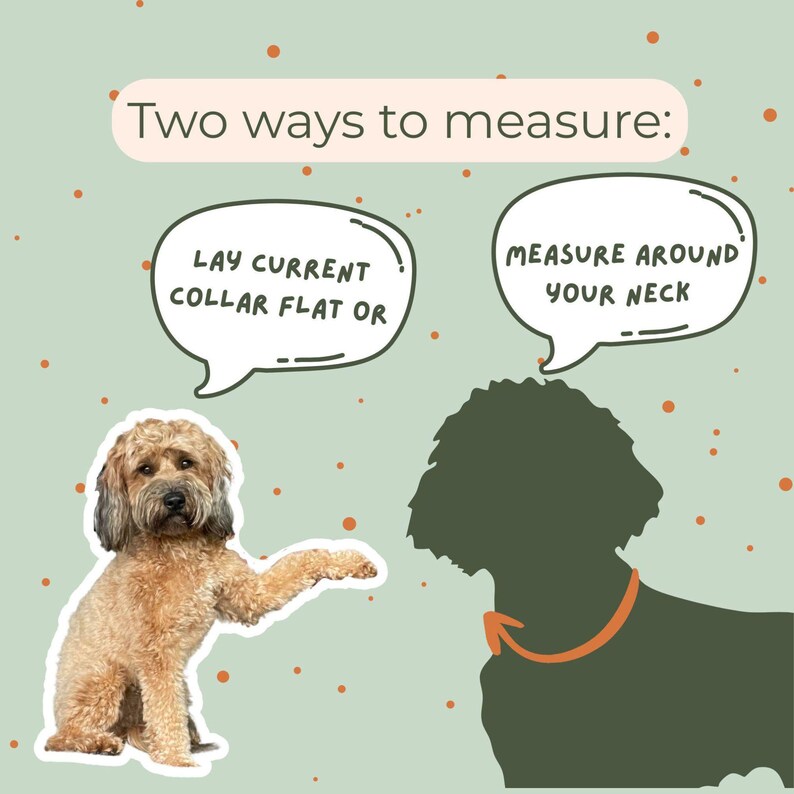 May include: An illustrated guide on a light green background with orange dots. The text reads "Two ways to measure:". A dog points to a speech bubble that says "Lay current collar flat or". Another speech bubble says "Measure around your neck".