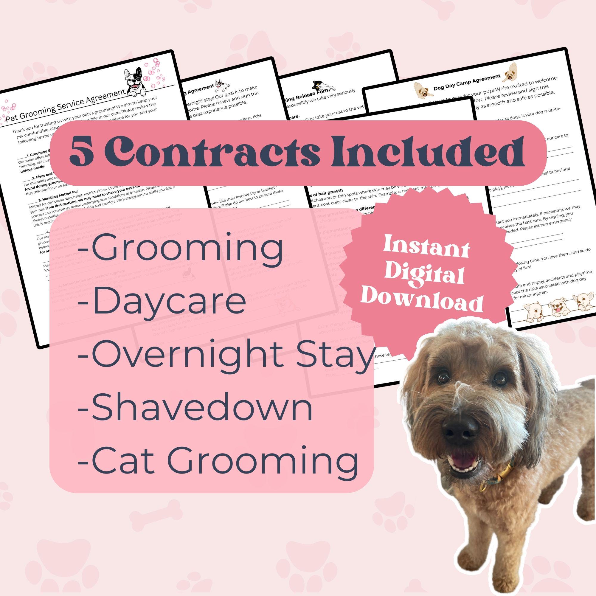 Pet Grooming Overnight Puppy Daycare Dog Grooming Contract - Main Image