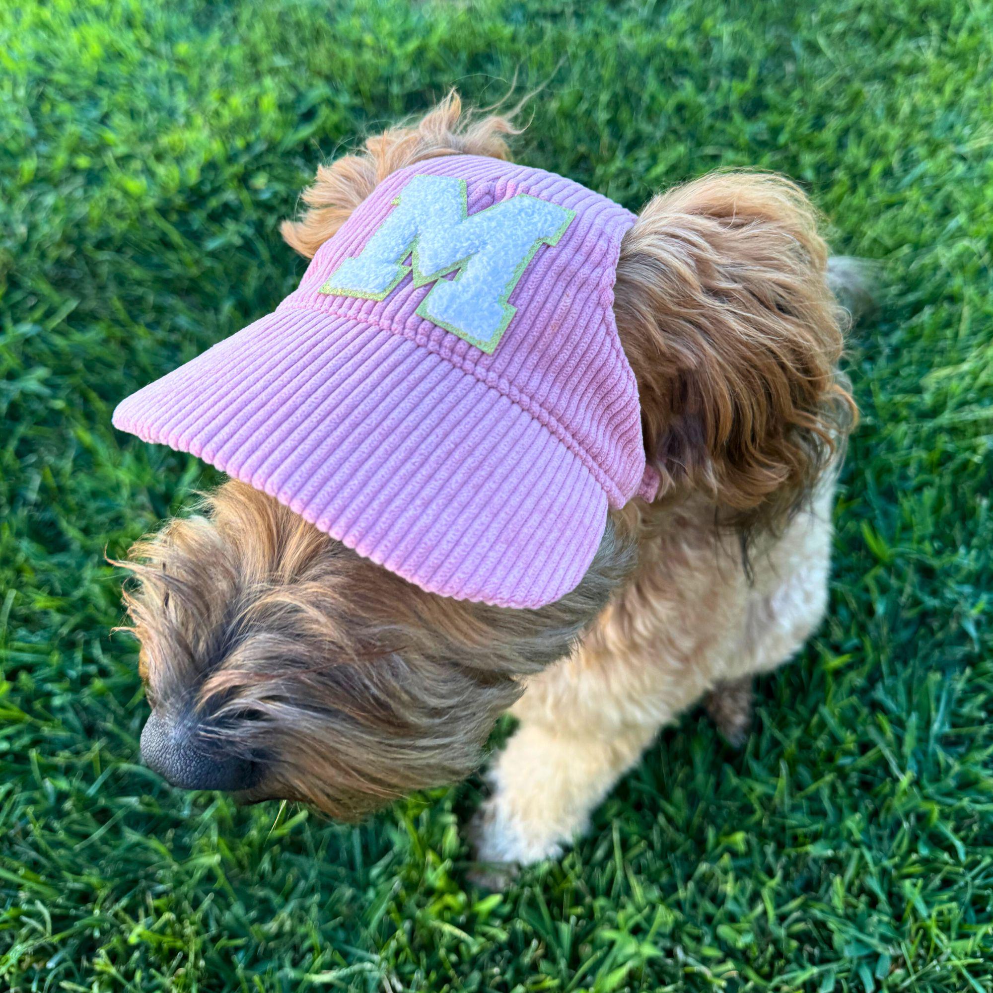 Green Dog Hat Etsy