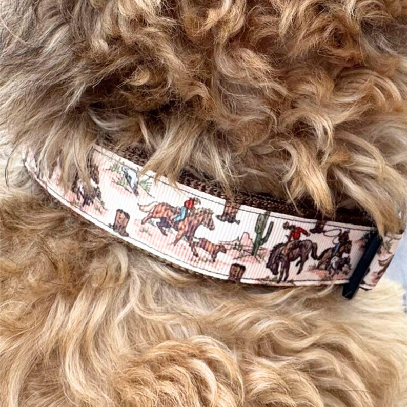 May include: A dog collar with a western theme. The collar features a repeating pattern of cowboys on horseback, cacti, and cowboy boots against a tan background. The collar is brown on the inside.