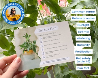 Plant Care Cards, Plant Planner, Care Guide Instructions Tags Garden Planner Printable Houseplant Instruction, Plant Calendar, Plant Bundle