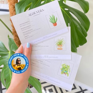 Etiqueta de planta imprimible Planificador de cuidado de plantas de interior Guía de cuidado de plantas Instrucciones Etiquetas Planificador de jardín Instrucciones imprimibles para plantas de interior zz plant
