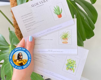 Guía de cuidado de plantas de interior: Tarjetas imprimibles (descarga digital)