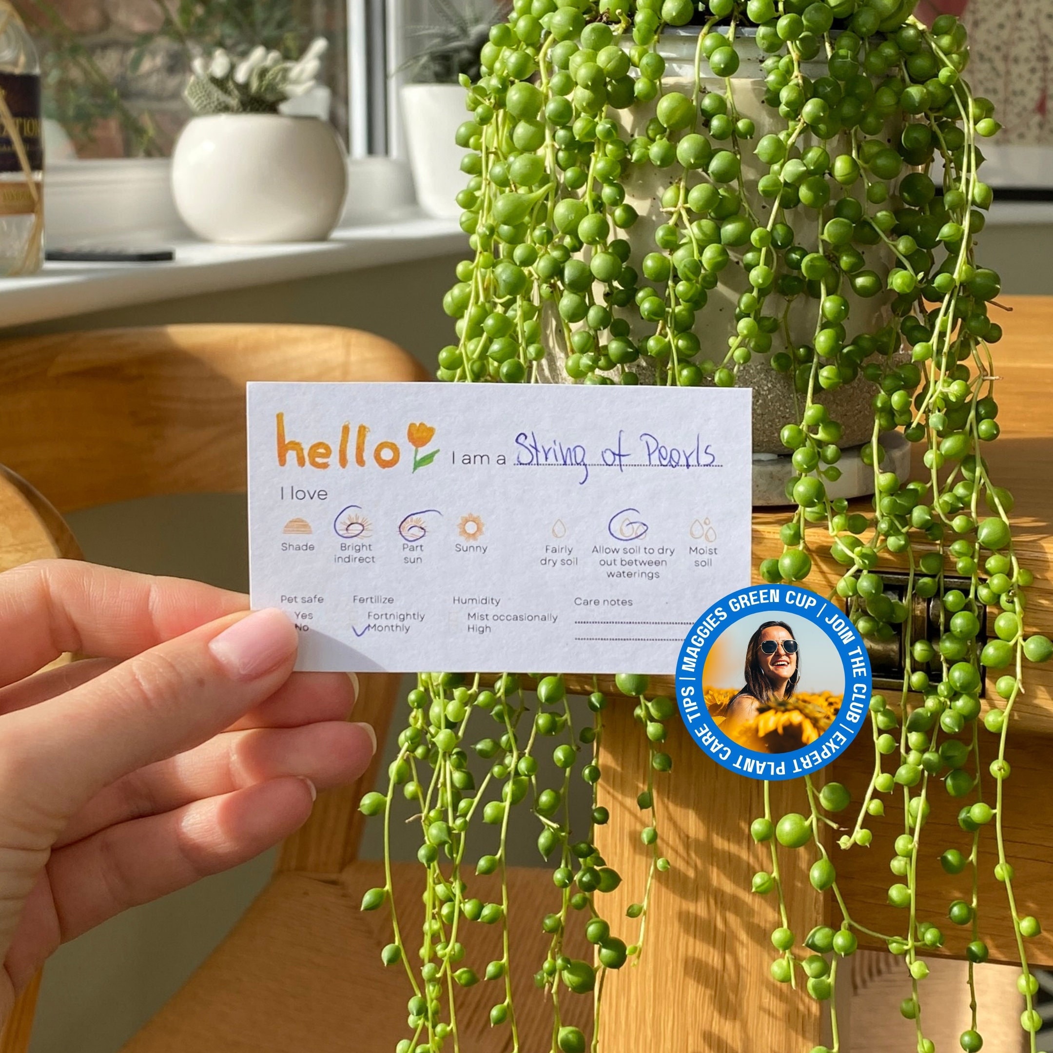 Plant care labels plant passport - Etsy.de