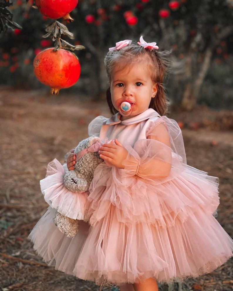 Robe de demoiselle d'honneur rose poudré, robe rose poudré pour fille, robe d'anniversaire de fille, robe de bal pour fille, robe bouffante pour fille, robe de demoiselle d'honneur en dentelle image 3