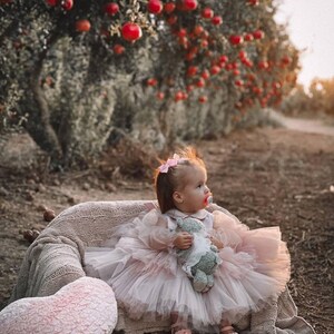 Robe de demoiselle d'honneur rose poudré, robe rose poudré pour fille, robe d'anniversaire de fille, robe de bal pour fille, robe bouffante pour fille, robe de demoiselle d'honneur en dentelle image 2