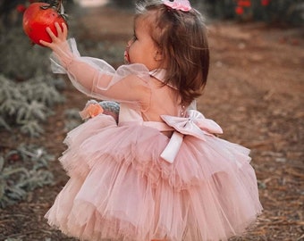 Robe de demoiselle d'honneur rose poudré, robe rose poudré pour fille, robe d'anniversaire de fille, robe de bal pour fille, robe bouffante pour fille, robe de demoiselle d'honneur en dentelle