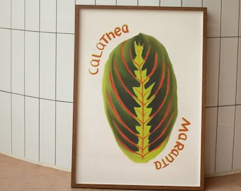 Calathea Maranta Leaf Print | Botanical Prints | Prayer Plant Print | Botanical Art | Botanical Wall Art | Prayer Plant | Maranta Leuconeura