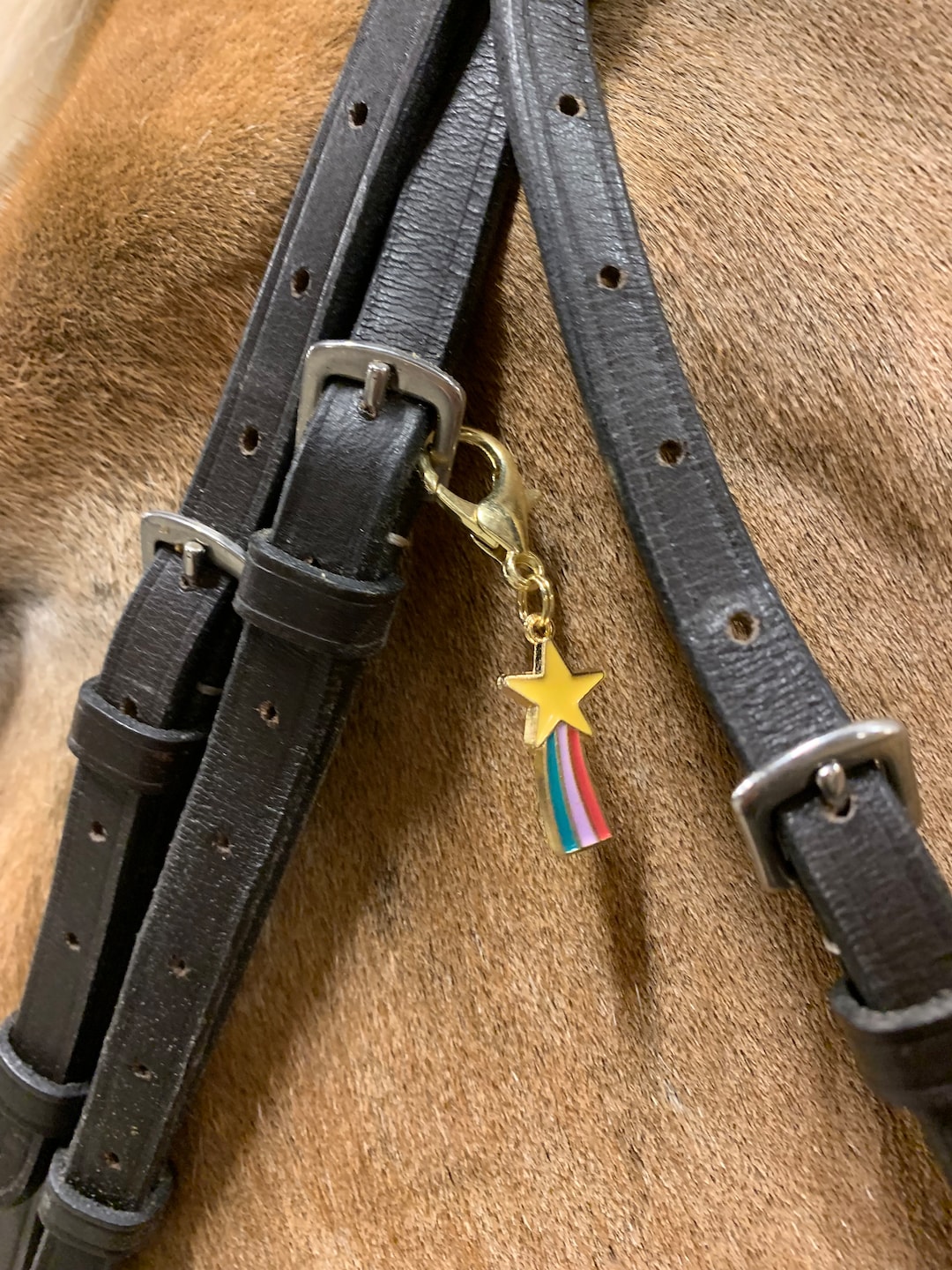 Horse Bridle Charms Stars Etsy