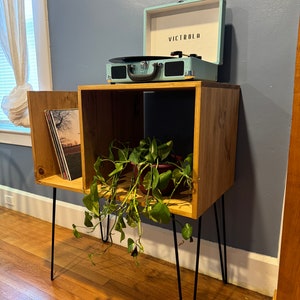 May include: A wooden record player stand with a light blue record player on top. The stand has a shelf for records and a plant on the bottom shelf. The stand has black hairpin legs.