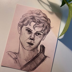 Newt TMR Art Print