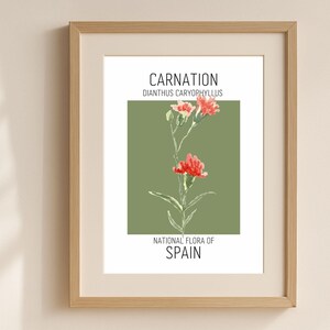 Carnation Wall Art Print, National Flower of Spain Poster, Dianthus Caryophyllus Botanical, Spanish Floral Decor, Watercolor Nature Art