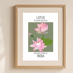 Lotus Wall Art Print, Nationalblume von Indien Poster, Nelumbo Nucifera Illustration, Botanisches Blumendekor, Indische Kulturelle Kunst
