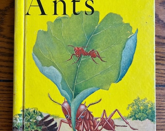 Ants By Charles  Schoenknecht 1961 1st Edition HC