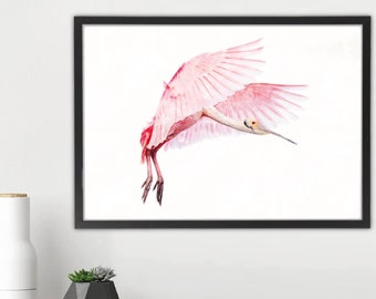 Roseate Spoonbill Bird Nature  Watercolor Digital Print Instant Download Printable Wall Art Wall Decor Poster