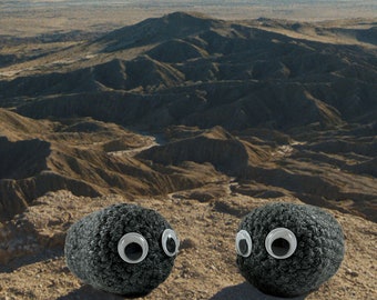 Crochet Googly Eye Rock - Finished Product
