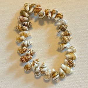 Op de afbeelding: Een armband gemaakt van kleine, natuurlijke schelpen. De schelpen zijn voornamelijk wit en bruin, met een verscheidenheid aan patronen en texturen. De armband is in een cirkelvorm gerangschikt, wat de natuurlijke schoonheid van de schelpen benadrukt.