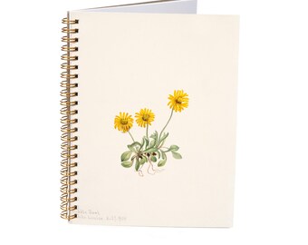 Mary Vaux Walcott Flower Journal - (Golden Fleabane) 6x8in | Lined or Blank Notebook  | 80 pages | Gold Spiral Binding