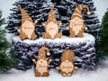 Personalized gnomes | Christmas gift tags | Christmas decorations | Christmas tree tags | Christmas gnomes