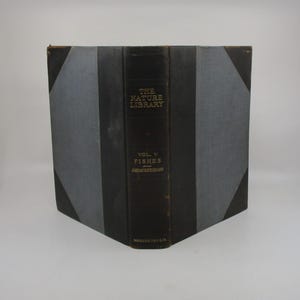 1908 Fishing, American Food and Game Fishes, Angling, Ichthyology, Angler&#39;s Fish Book, Sport and Outdoors Salvage