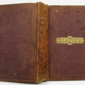 1869 Beauties and the Achievements of the Blind, 19th Century Literature, Poetry, Music and Science Appreciation