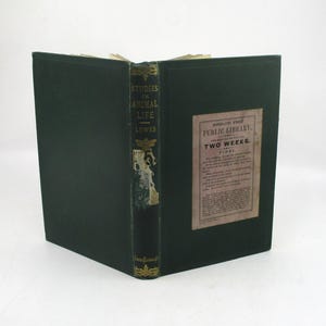 1862 Studies in Animal Life, Biology, 19th Century Natural Sciences, Zoology, Insects, Entomology, Fossils Mammals Nature, Scientific Method
