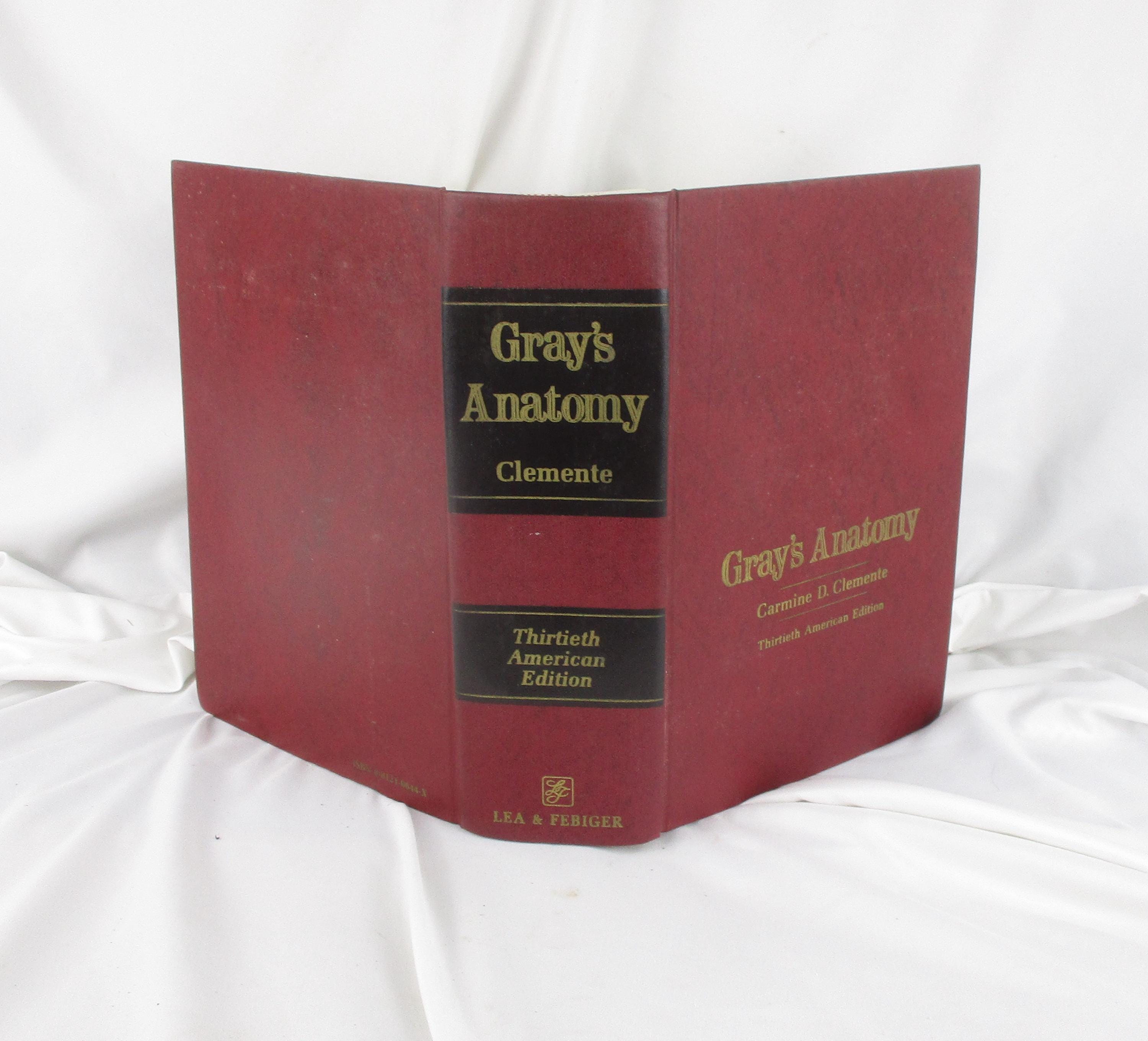 Grays Anatomy Book Vintage - Etsy