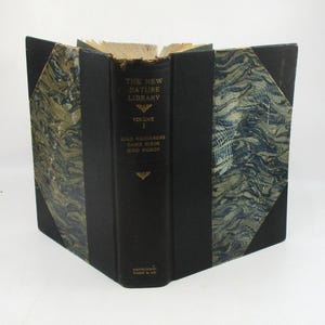 1914 Bird Book, Bird Neighbors, Game Birds, Bird Nests, Nesting, Birding, Ornithology and Bird Watching