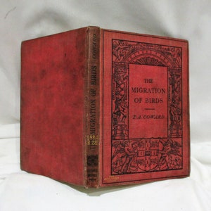 1912 Antiquarian Bird Book: The Migration of Birds, Ornithology