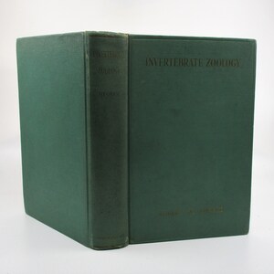 1937 Invertebrate Zoology, Biology and Natural Sciences Book, Old Textbook
