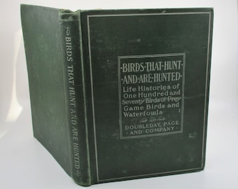 1902 Ornithology Book: Birds of Prey & Waterfowl, Illustrated