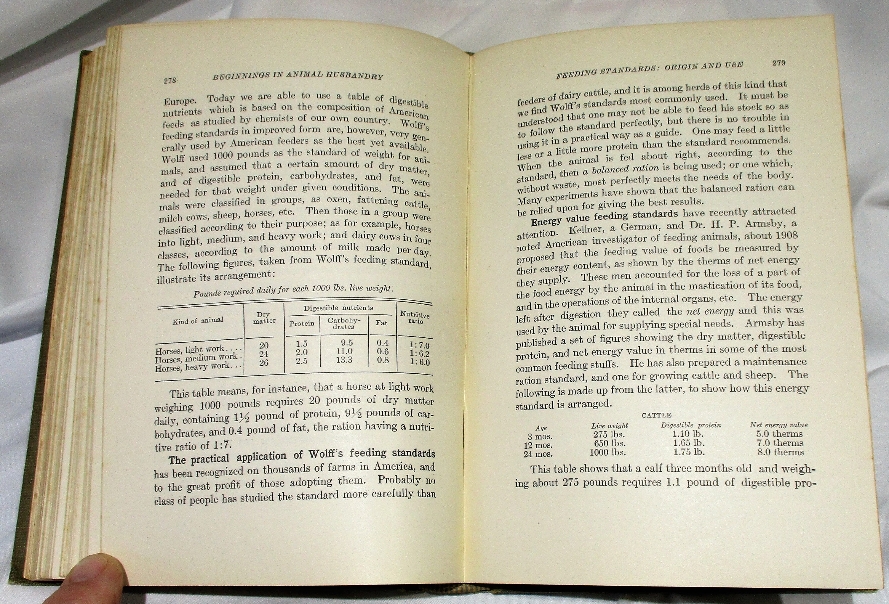 1921 Animal Husbandry Book Horse Cattle Sheep Swine Etsy