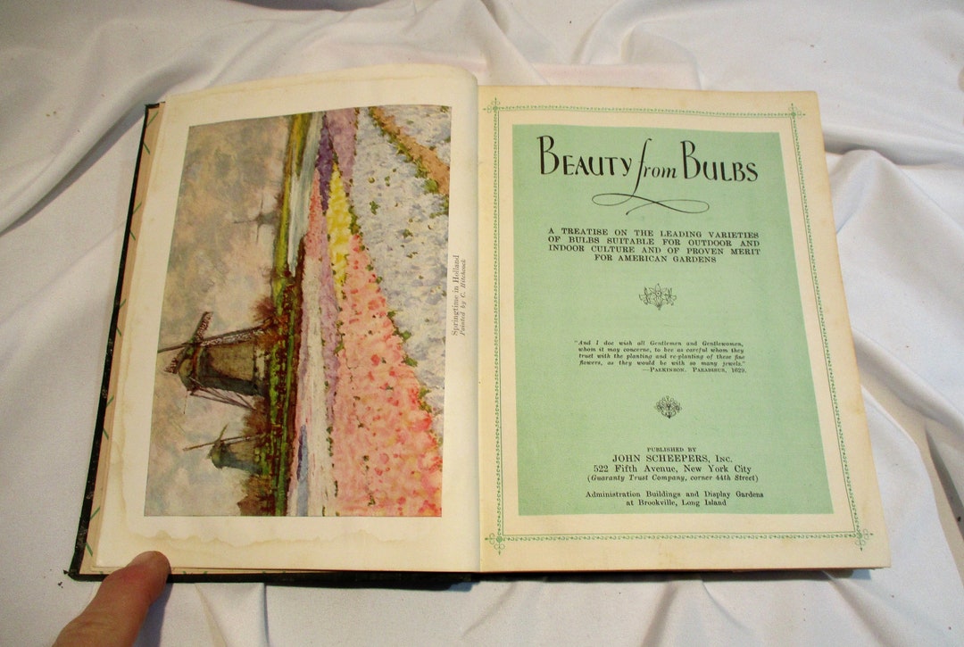 1931 Beauty From Bulbs, Antique Book on Floriculture, Botany, and