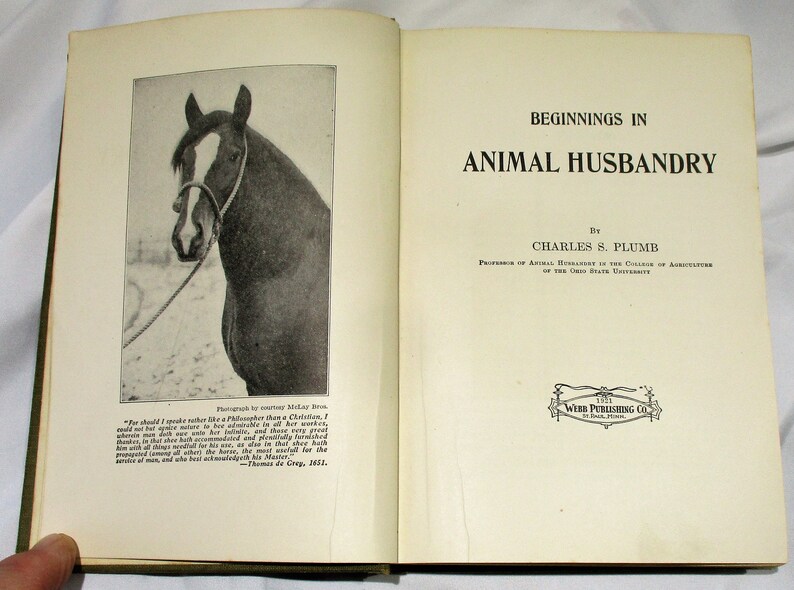 1921 Animal Husbandry Book Horse Cattle Sheep Swine Etsy