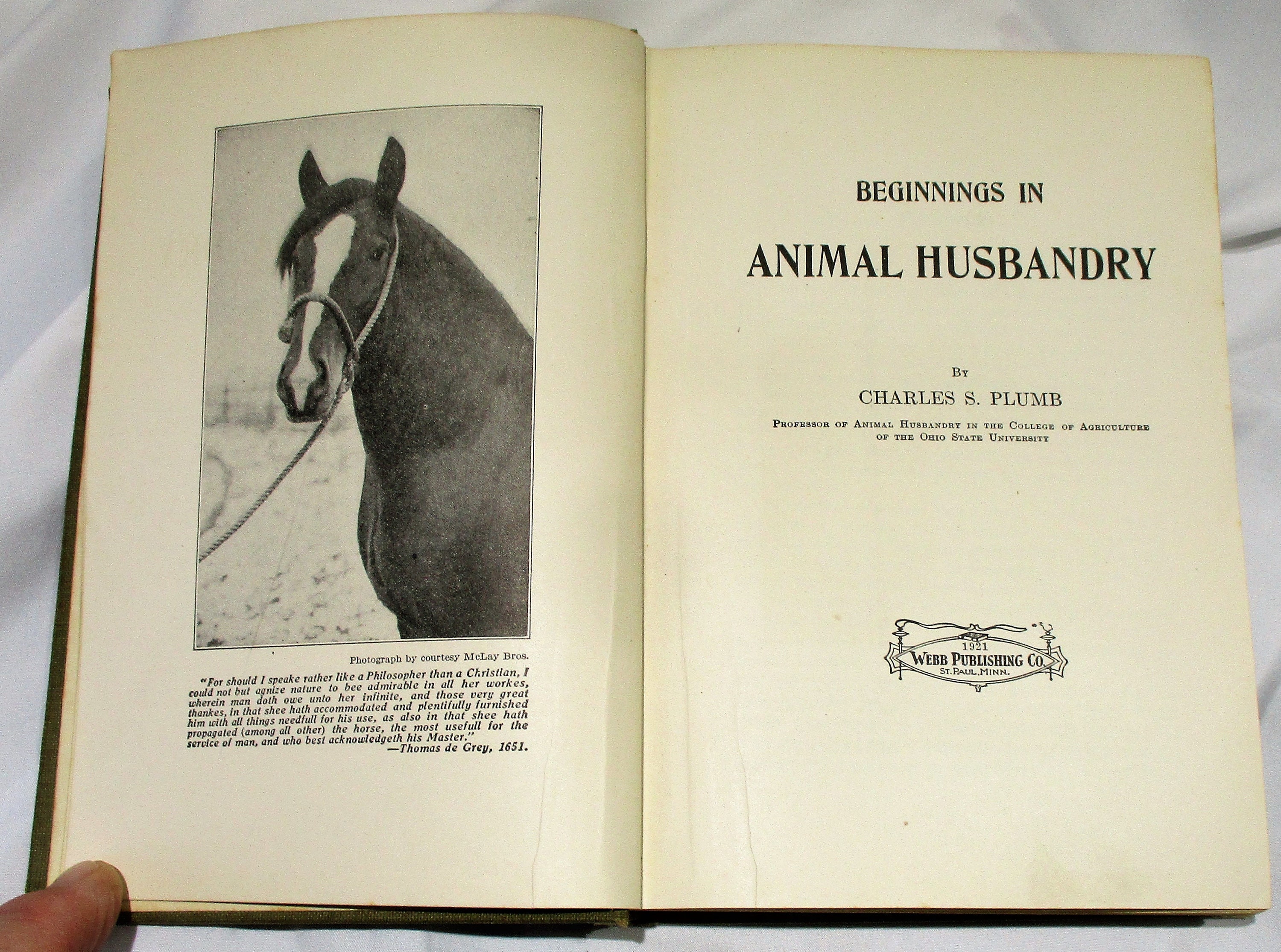 1921 Animal Husbandry Book Horse Cattle Sheep Swine - Etsy 1921 Animal Husbandry Book Horse Cattle Sheep Swine - Etsy