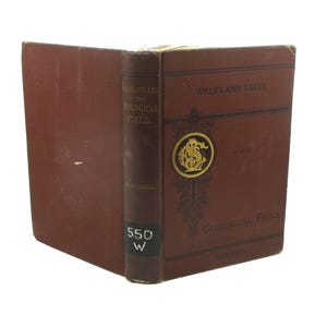 1886 Geology Book: Walks and Talks in the Geological Field