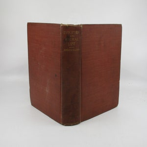 1908 Evolution and Animal Life Book: Darwin&#39;s Theory of Zoology