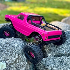 Ascent 18 Roll Cage