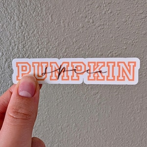 Pumpkin spice sticker - vinyl sticker