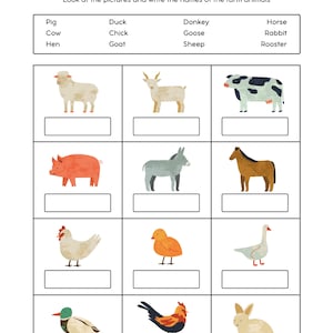 French Arctic Animals Vocabulary - Animaux polaires - Mur de mots et lexique