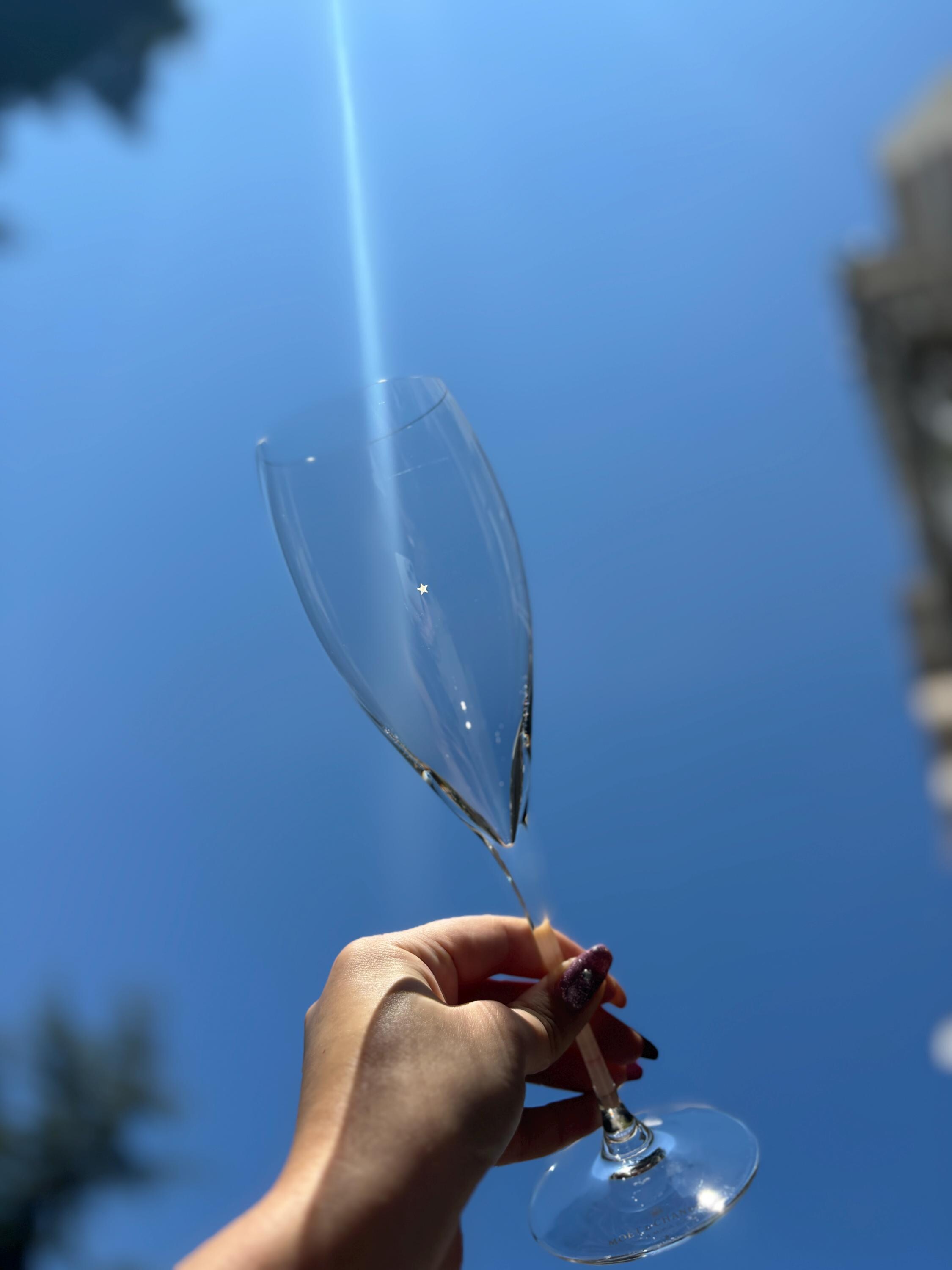 モエ・エ・シャンドン x リーデル クリスタルフルート グラン