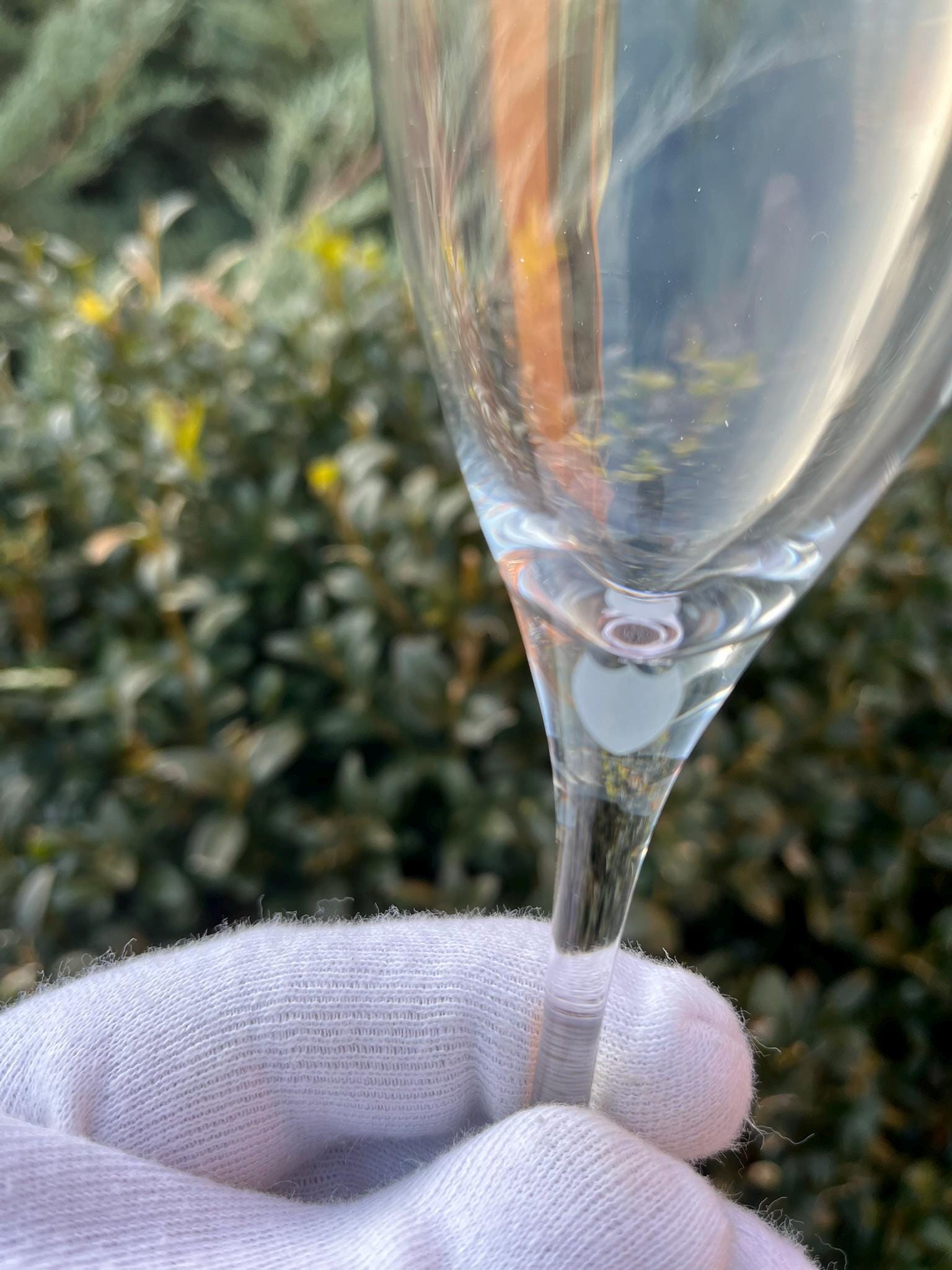 非売品　Dom Pérignon シャンパングラス 12個セット ドン・ペリニヨン シャンパングラス 12個セット - Etsy 日本