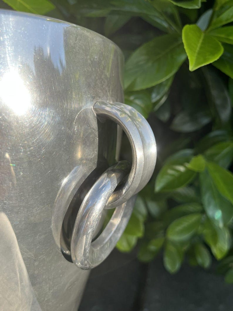 Puede incluir: Primer plano de un cubo de metal plateado brillante con un asa curva. El asa est&aacute; formada por dos anillos entrelazados. El cubo tiene una superficie lisa y reflectante. Se ven hojas verdes en el fondo.