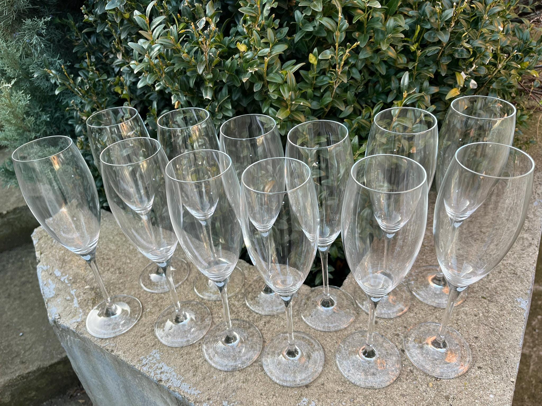 非売品　Dom Pérignon シャンパングラス 12個セット ドン・ペリニヨン シャンパングラス 12個セット - Etsy 日本