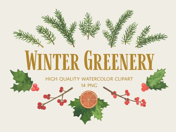 Winter Greenery Watercolor clip art - PNG format