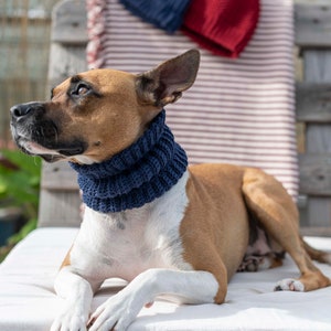 Cane snood / scaldacollo cane