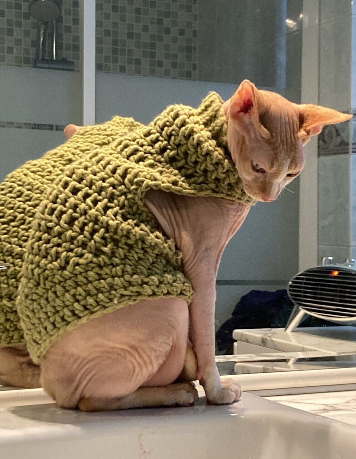 Cats Sweater Dress