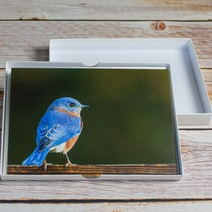 Boxed Set of 5 Bluebird Greeting Cards with Envelopes, Blank Notecards, All Occasion Cards, Bird Stationery, Photo Card, Eastern Bluebird