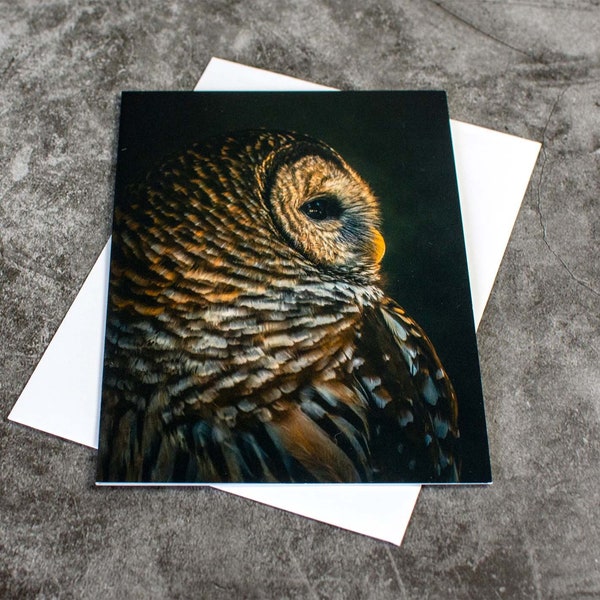 Individual Barred Owl Greeting Card with Envelope, Owl Notecard, Blank Notecard, All Occasion Greeting Card, Frameable Art